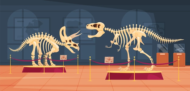 Desenho Animado Museu Histórico Interior De Paleontologia Com Esqueleto De  Dinossauros Ilustração do Vetor - Ilustração de indicador, interior:  260538483