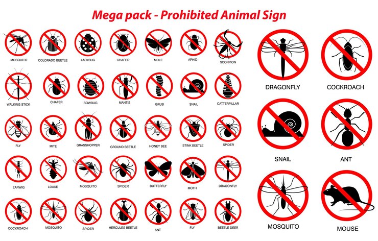 Vetor o item serangga tinha