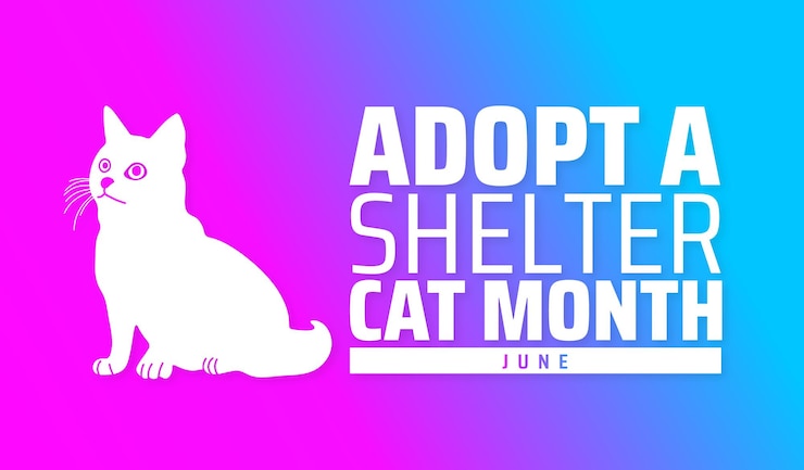 Vetor o mês de adoptar um gato de refúgio - junho