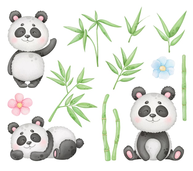 O panda fofo e o clip-art de bambu isolados