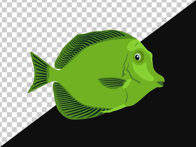 Vetor o peixe é verde com listras escuras nas barbatanas sem fundo e em uma escura