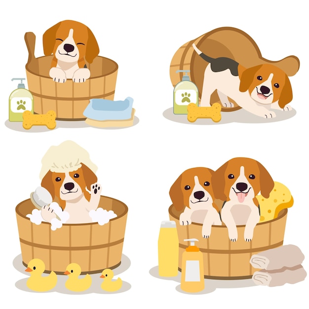 O personagem de beagle fofo sentado no barril com xampu de esponja em estilo vetorial plano