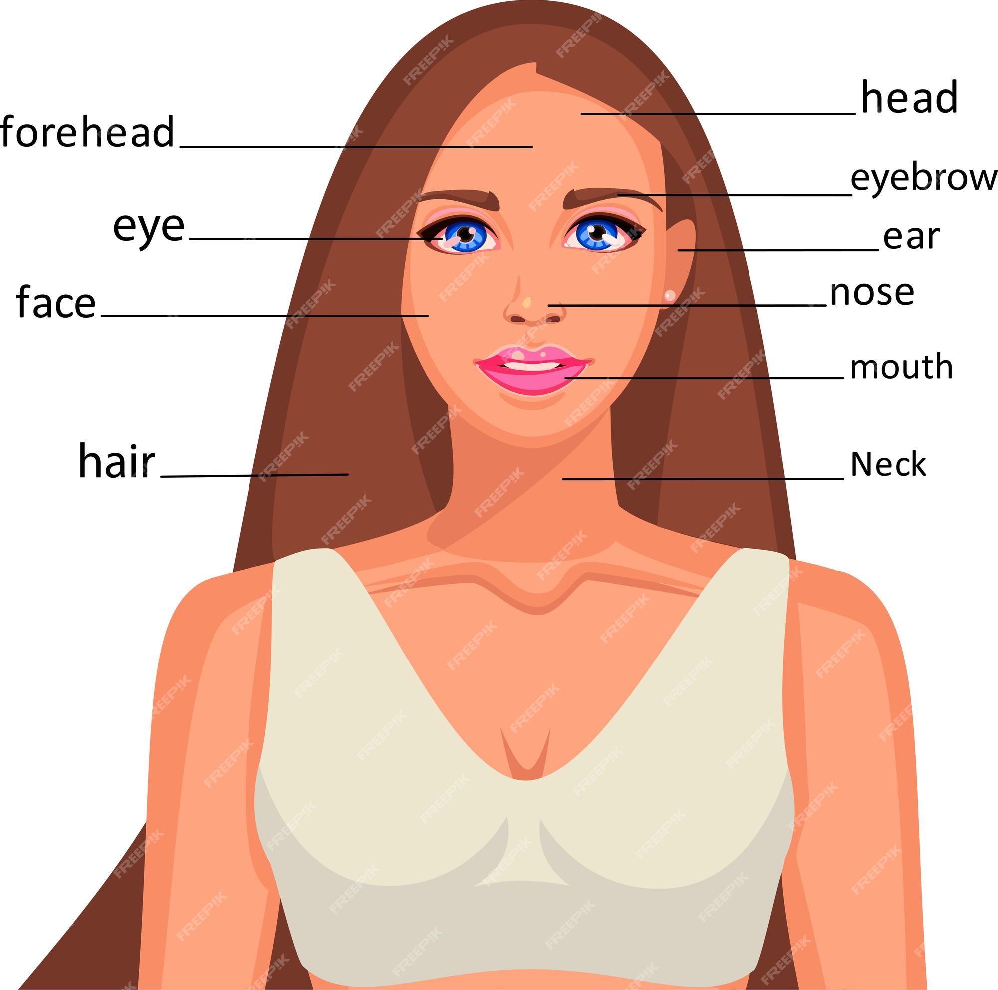 Aprender/ Rostos e Faces