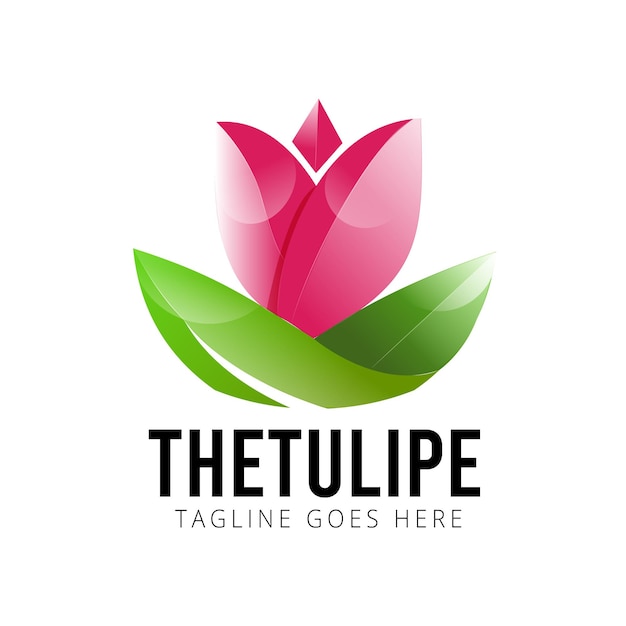 O tulipe