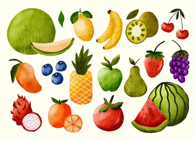 Vetor objeto gráfico de frutas pintadas à mão em aquarela coleção de ilustrações