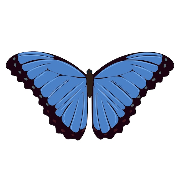 Vetor objeto isolado de ilustração vetorial closeup de borboleta azul