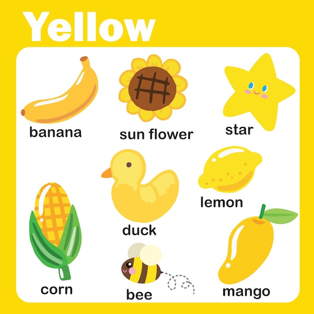 objetos de cor e palavras de vocabulário em cartão em inglês