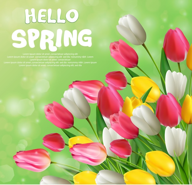 Olá cartaz de primavera com flores de tulipas em bokeh de fundo