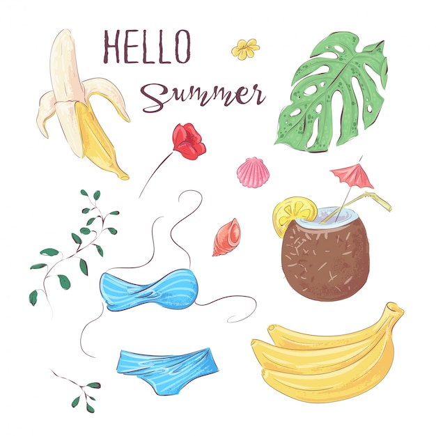 Olá verão. conjunto de frutas tropicais e elementos. vetorial, ilustração, mão, desenho