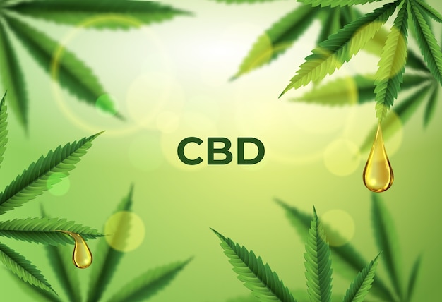 Óleo de CBD