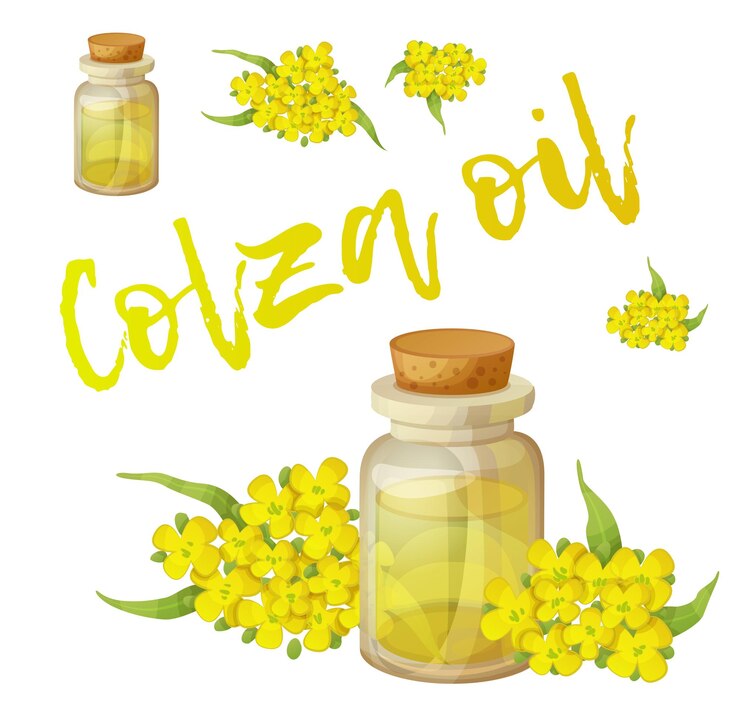 Vetor óleo de colza em uma garrafa de vidro ícone vetor isolado em fundo branco óleo vegetal amarelo em um pequeno