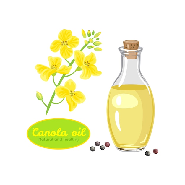 Óleo de sementes de canola em garrafa de vidro e planta de canola