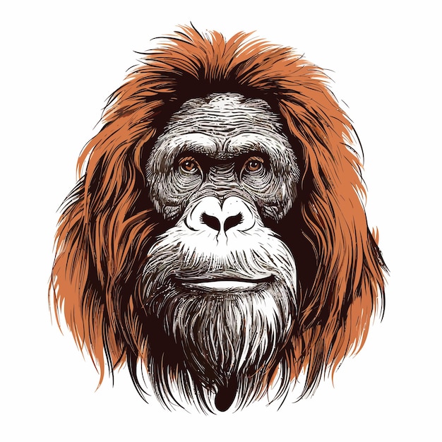 Vetor orangutan_hand_drawn_sketched_vector