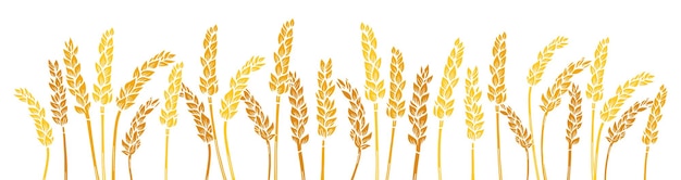 Orelha de trigo gravada em ouro fundo de fronteira silhueta agrícola imprensa produção de farinha dourada