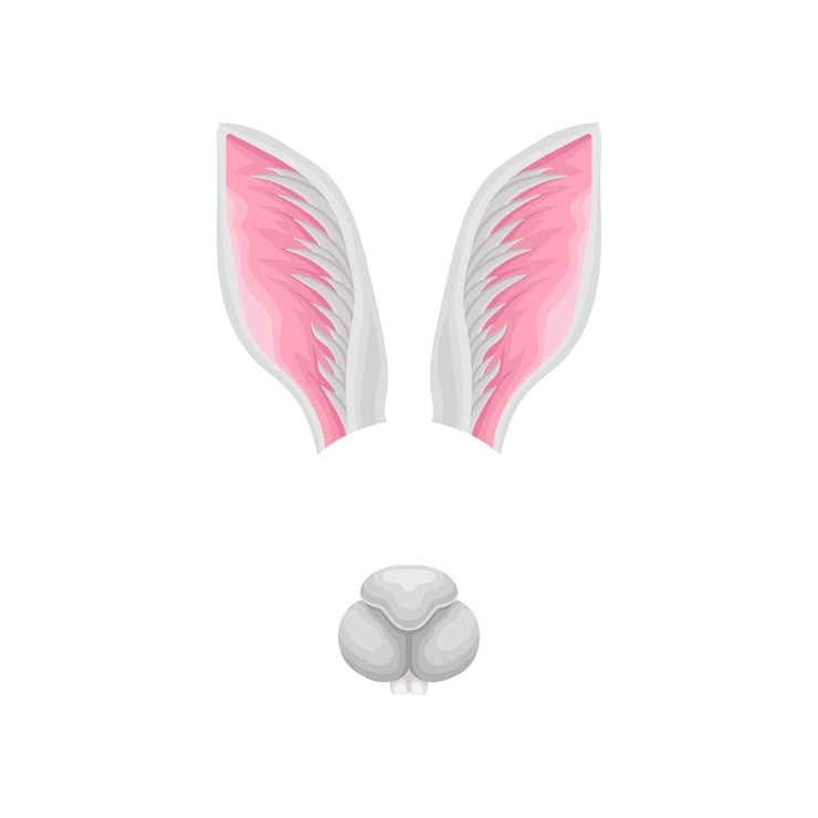 Vetor orelhas longas de coelho e nariz fofo focinho engraçado de coelhinho elemento de fantasia de carnaval design vetorial plano detalhado para aplicativo móvel