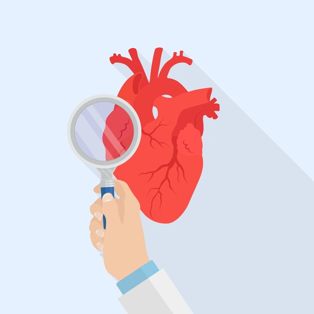 Vetor Órgão de diagnóstico de coração humano com ilustração de lupa