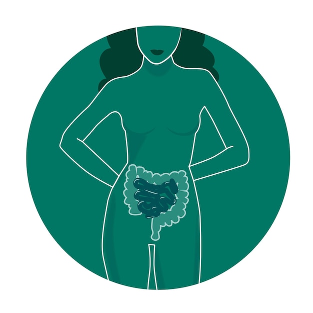Vetor Órgão do intestino no corpo feminino