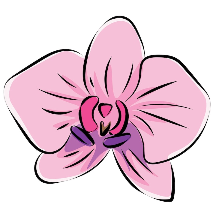 Vetor orquídea um galho com flores cor de rosa e botões pintura de tinta tradicional japonesa no estilo oriental