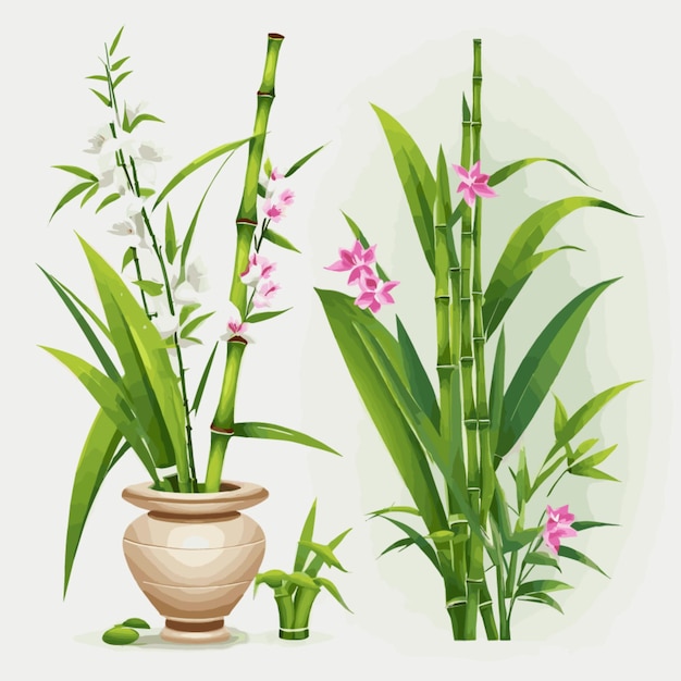 Vetor orquídeas e bambu