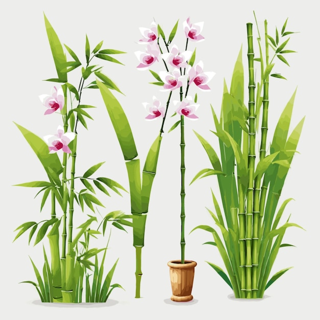 Vetor orquídeas e bambu