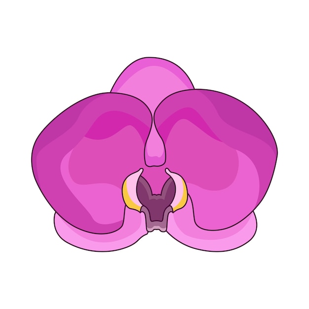 orquídeas