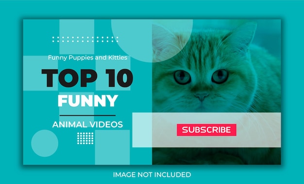 Top 10 Vídeos engraçados de animais: confira! 