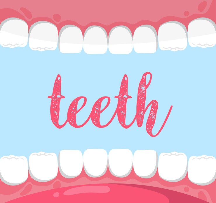 Vetor os dentes da boca por dentro. vetor premium