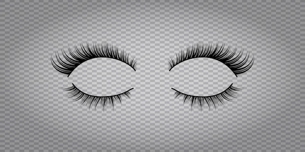 os olhos do olho são longos e brancos