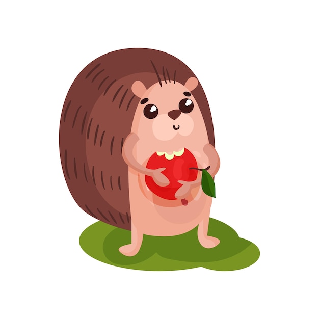 Ouriço fofo comendo maçã engraçado animal personagem de desenho animado vector ilustração sobre um fundo branco
