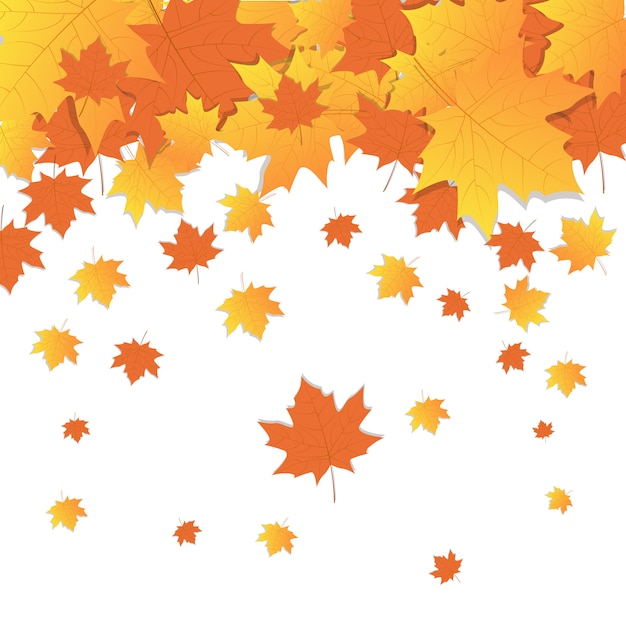 Outono fundo amarelo maple leaves fall season