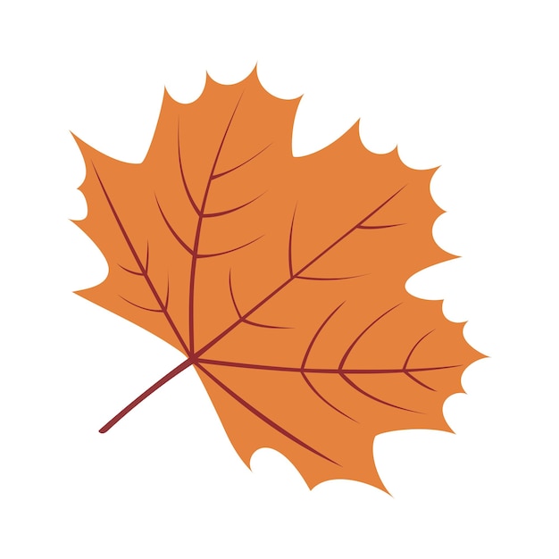 Outono2 Outono Ilustração de folha de bordo de Ginkgo