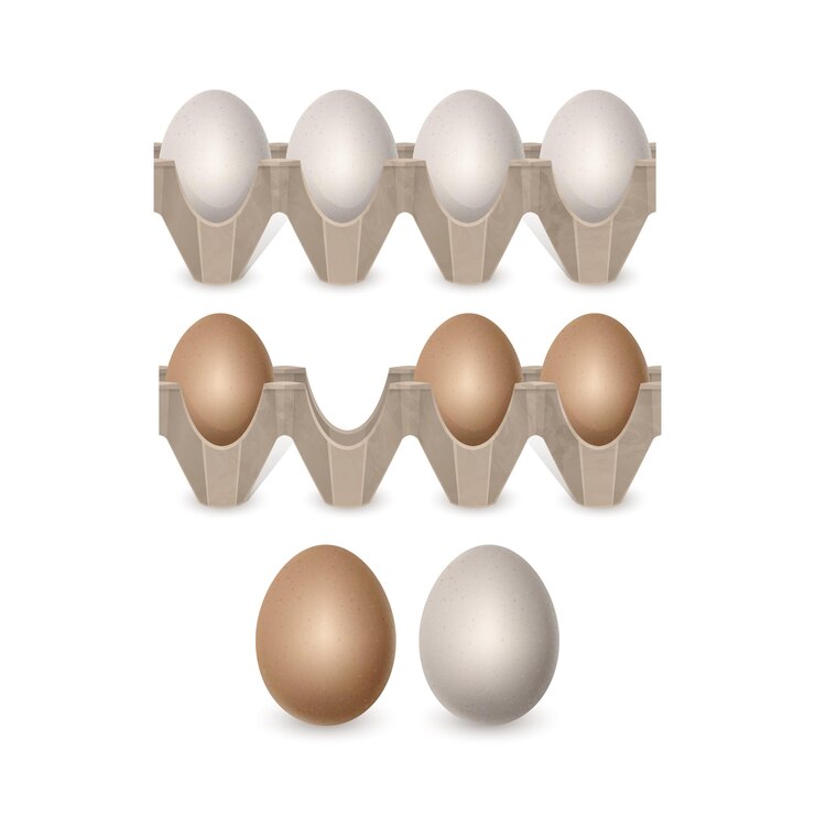 Vetor ovos de galinha em estilo realista ovos marrons frescos em formato vetorial de caixa de papel