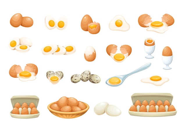 Ovos frescos e cozidos. Ovos de galinha e codorna quebrados com casca de ovo rachada, em caixa de papelão e em uma tigela, ilustração vetorial de ovos cozidos pela metade e fatias.