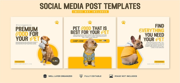 Pacote de design de postagem de mídia social da loja de animais de estimação
