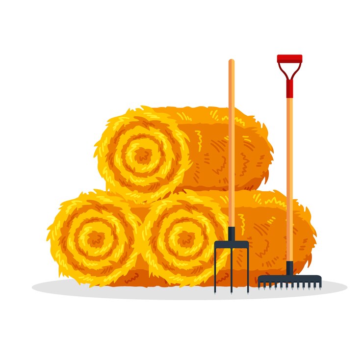 Vetor pacote de feno isolado no fundo branco. palheiro seco plana com garfos e ancinho, haylow de fardo de agricultura, haycock rural agrícola - ilustração