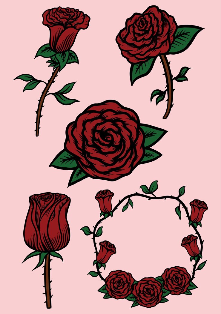 Vetor pacote de ilustração de rosa