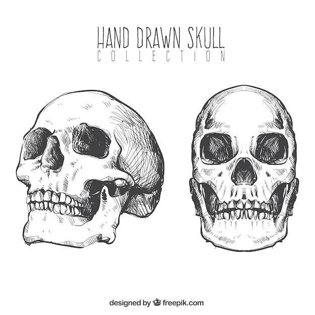 Pacote de mão desenhada crânios