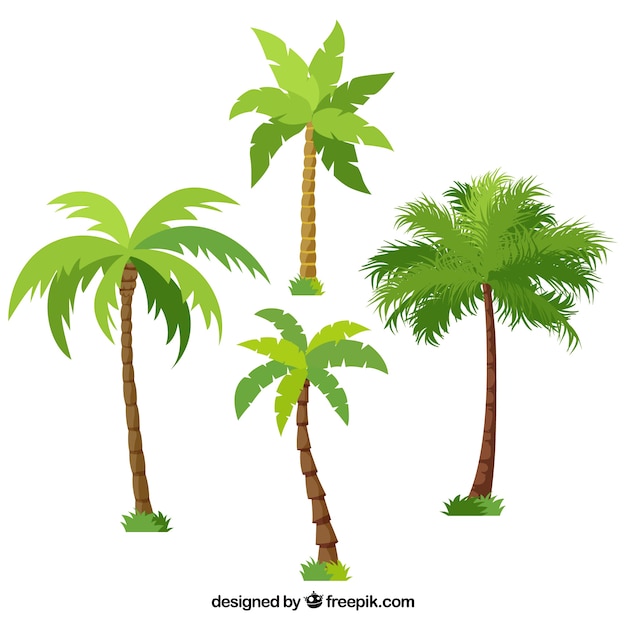 Vetor pacote de palmeiras diferentes