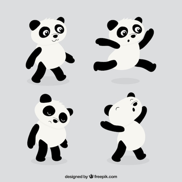 Pacote engraçado panda