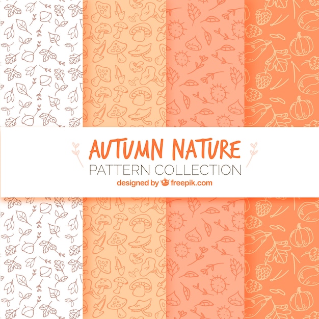 Pacote moderno de padrões de natureza de outono