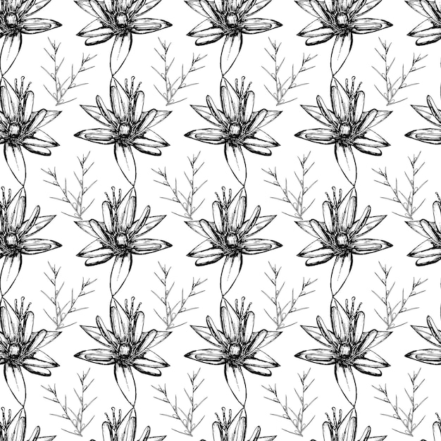 Padrão botânico sem costura em estilo vintage várias folhas de samambaias cones rabo de cavalo cálamo semear cardo trigo grama azevinho vector gravura ilustração preto e branco