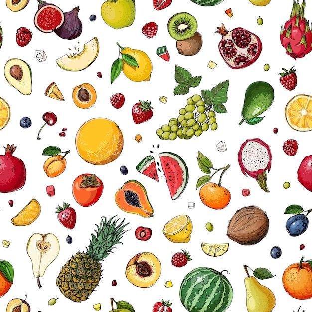 Padrão Comida fresca Melancia melão romã Damasco caqui linha desenhada em um fundo branco Ilustração vetorial