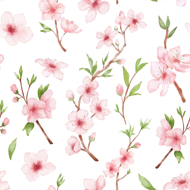 Padrão de aquarela sem costura com flores e folhas de sakura em fundo branco