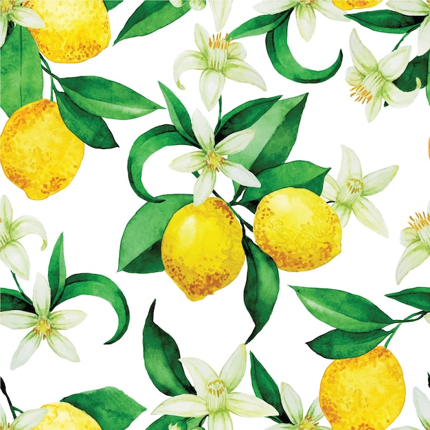 padrão de aquarela sem costura com limões limões amarelos flores e folhas em um fundo branco
