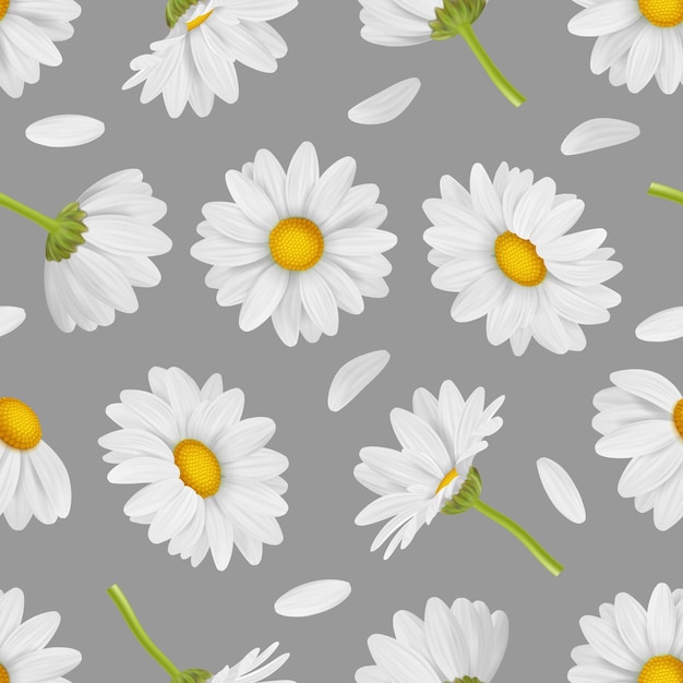 Padrão de camomila modelo decorativo para design têxtil com imagens de ervas flores brancas botões de fundo vetorial decente