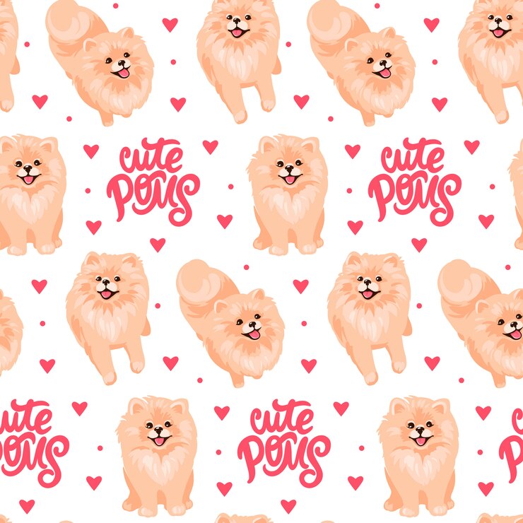 Vetor padrão de filhote de spitz pomeranian
