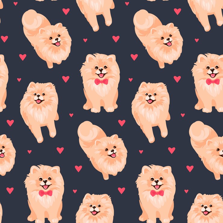 Vetor padrão de filhote de spitz pomeranian