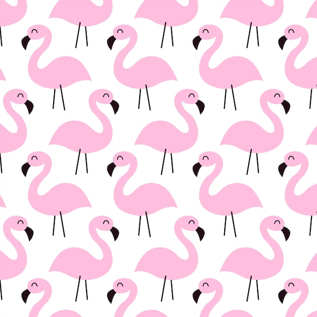 Padrão de flamingo bonito mão desenhada