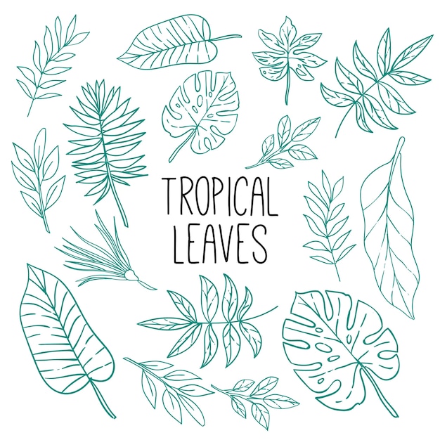 Padrão de folha tropical lineart