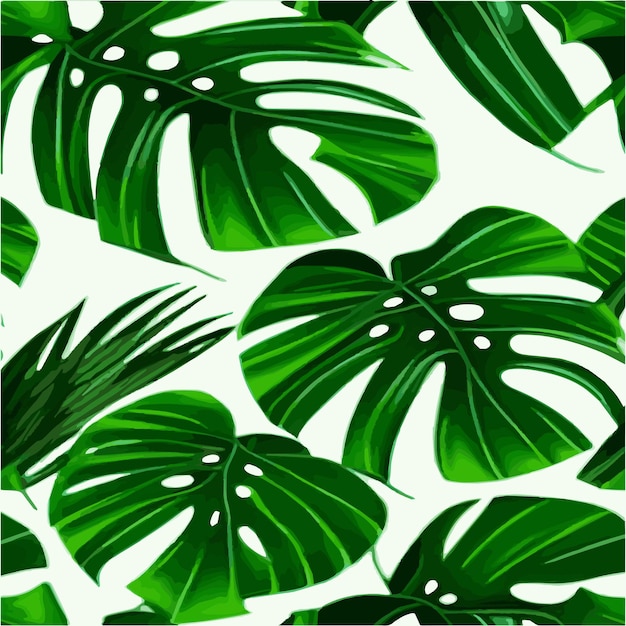 Padrão de monstera verde fundo branco padrão exótico com folhas tropicais Ilustração vetorial folha de monstera